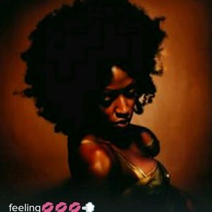 Meet your Posher, Winter